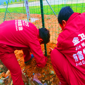 中国石油西气东输二线大铲岛防蛇网安装